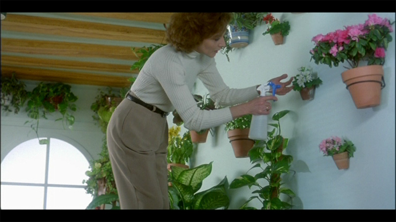 FLOWER OF MY SECRET 1