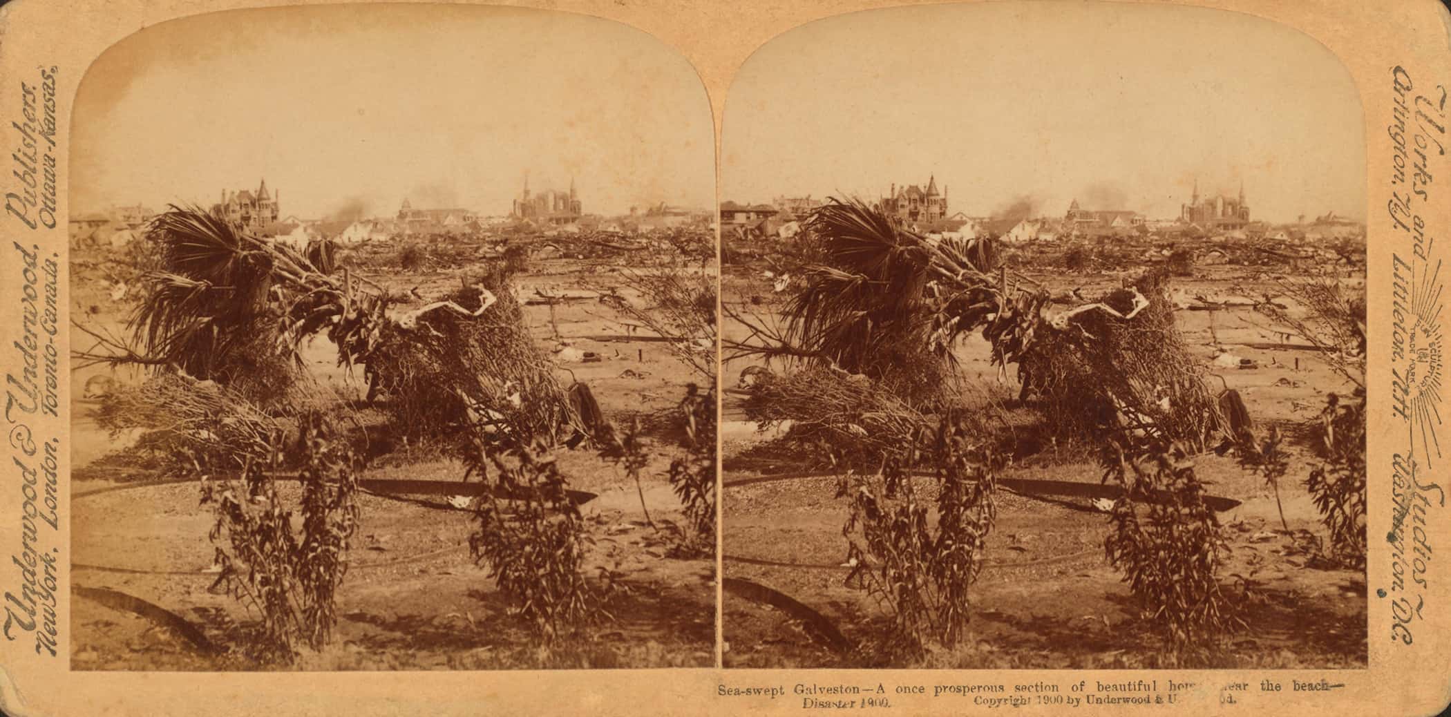 Prototype_main_image6