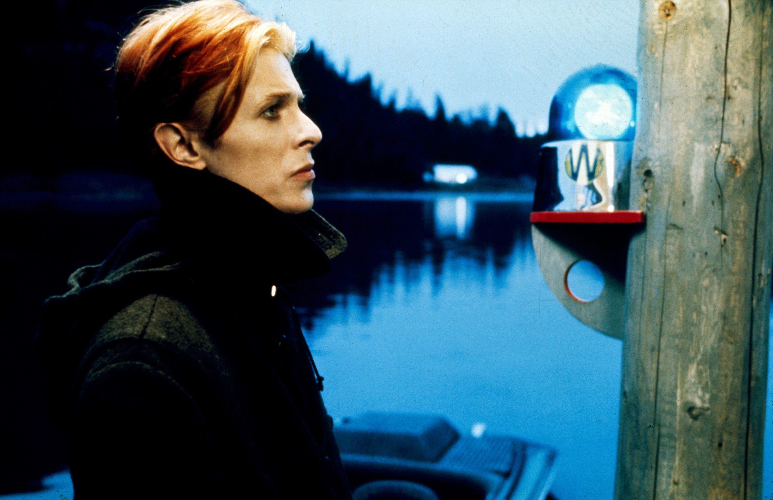 MAN WHO FELL TO EARTH 1